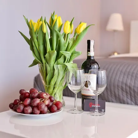 - Friedleina Appartement *
