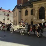 - Friedleina